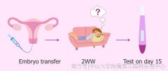 <b>试管婴儿移植后需不需要休息，能正常上班吗？</b>