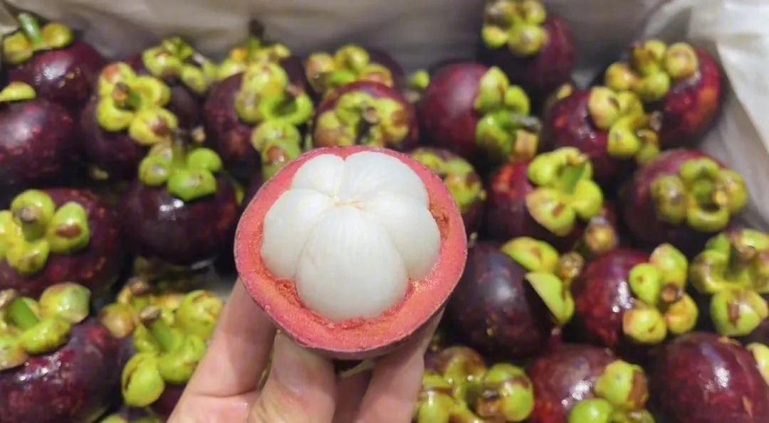 1691654302357977.png 图片 1.png