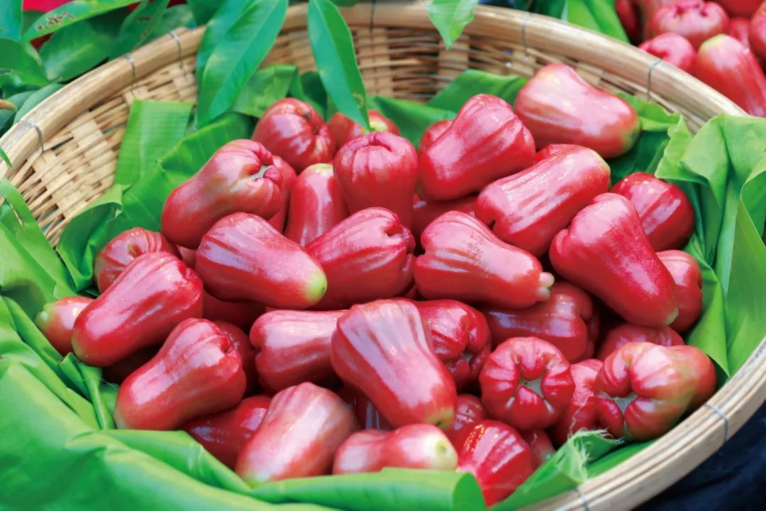1691654335816140.png 图片 7.png