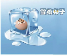 <b>30岁还不打算结婚，冷冻卵子了解一下！</b>