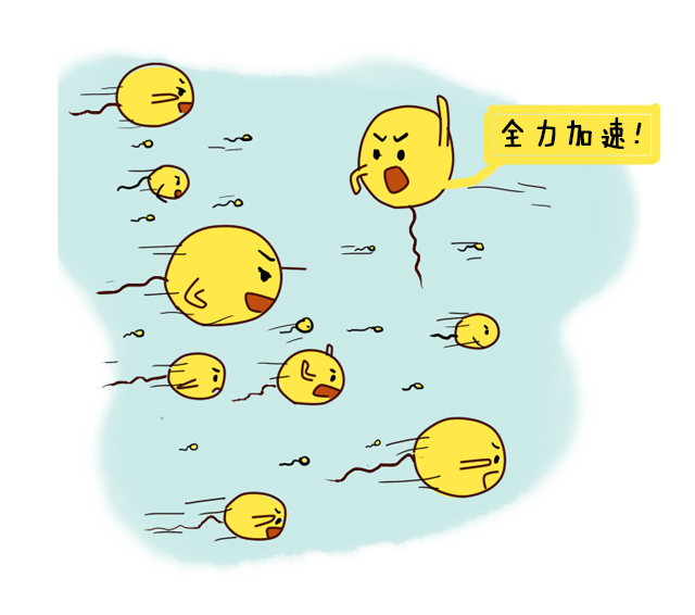 1695693181802315.png 图片 2.png