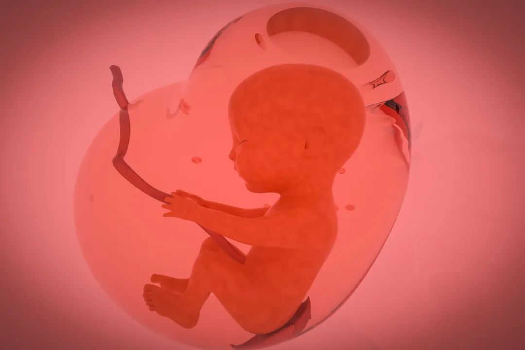 1698636827258212.png 图片 3.png