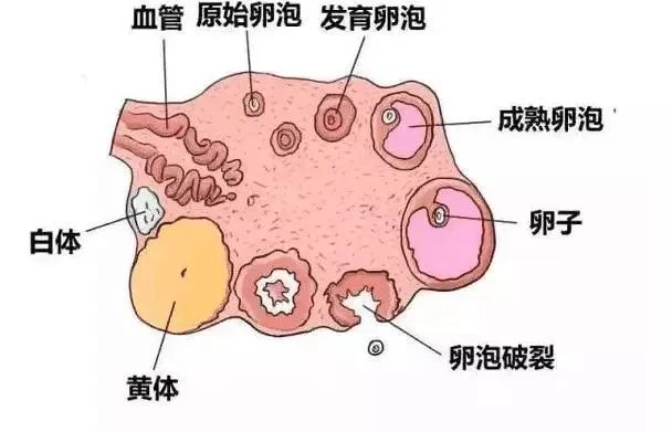 1703492881625231.png 图片 2.png