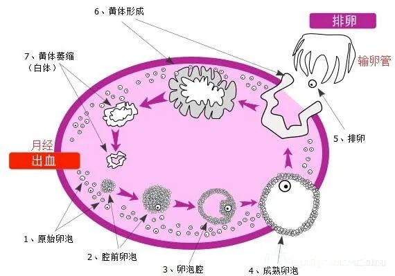 1703492889419479.png 图片 4.png