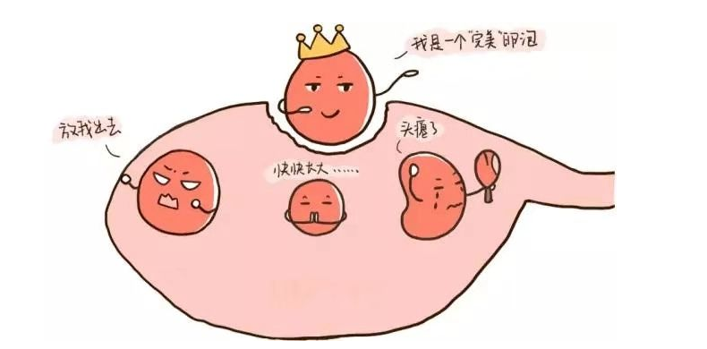 1703492933412289.png 图片 8.png