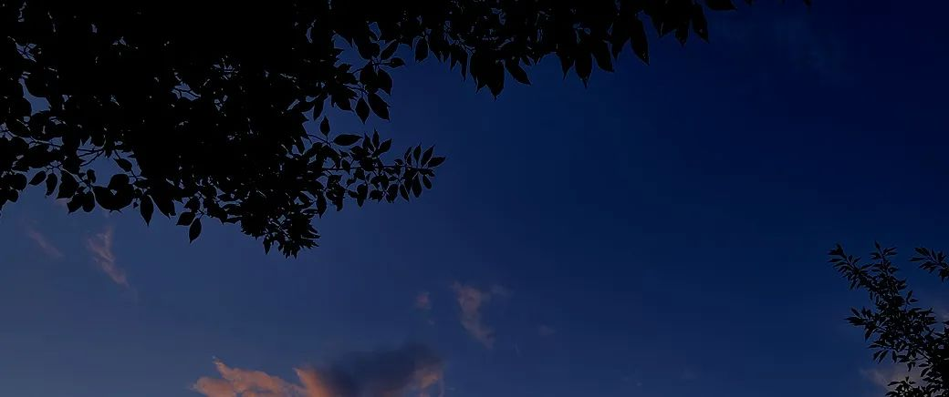 1709004792905111.png 图片 1.png