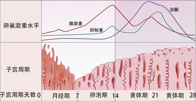 1713942703804505.png 图片4.png