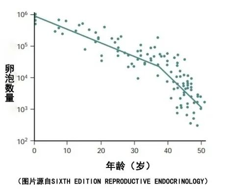 1714459365317051.png 图片 2.png