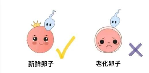1714459369378887.png 图片 3.png