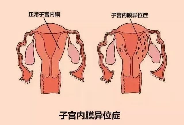 1714459872647083.png 图片 5.png