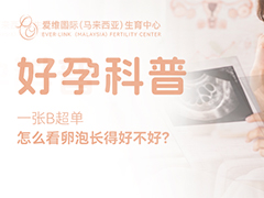 <b>一张B超单，怎么看卵泡长得好不好？</b>